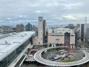 HOTEL VISCHIO TOYAMA by GRANVIA